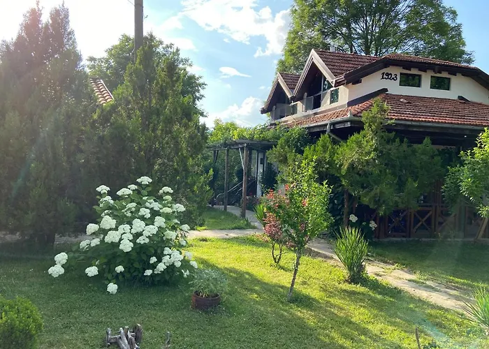 Вилно Селище Паздерите