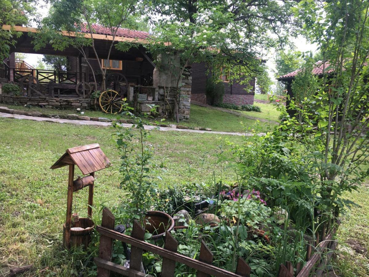 паздерите Holiday home